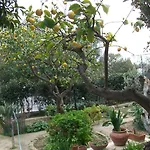 Sanbart Con Giardino San Bartolomeo Al Mare