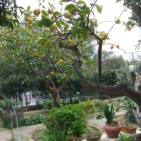 Sanbart Con Giardino 산토바르톨로메오알마레