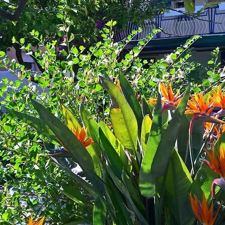 Sanbart Con Giardino 펜션 산토바르톨로메오알마레