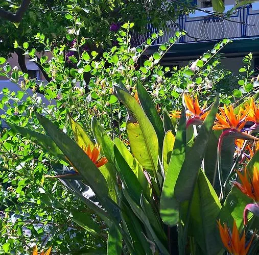 Sanbart Con Giardino Dom wakacyjny San Bartolomeo Al Mare